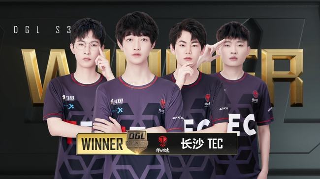 经历为例 经历为例